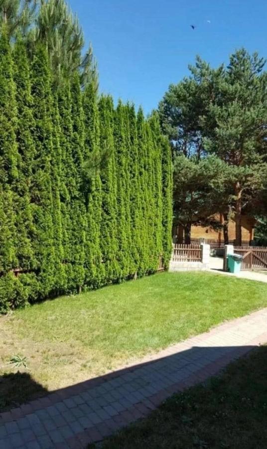 Apartamento Центр Отдыха Радуга Chon-Sary-Oy Exterior foto